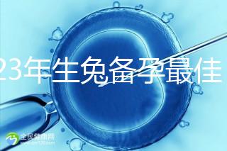 2023年生兔備孕最佳時間表參考，避開十兔九苦月份