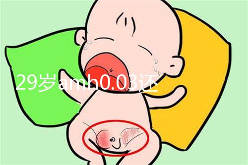 29歲amh0.03還能做試管嬰兒嗎？能否取到卵是懷孕關鍵