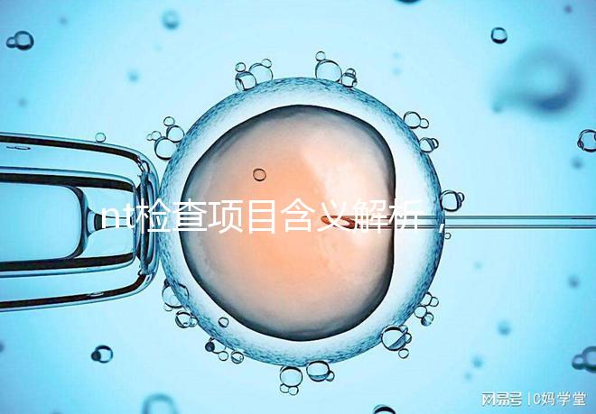 nt檢查項目含義解析，每個內容都相當重要