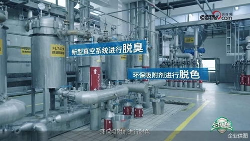 央視網(wǎng)走進(jìn)多力安心工廠 探尋降低油煙技術(shù)專(zhuān)利奧秘，見(jiàn)證健康廚房技術(shù)推廣